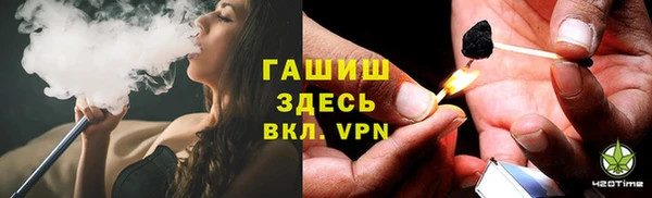 стаф Аркадак