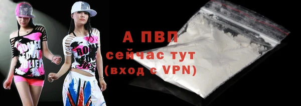 стаф Аркадак