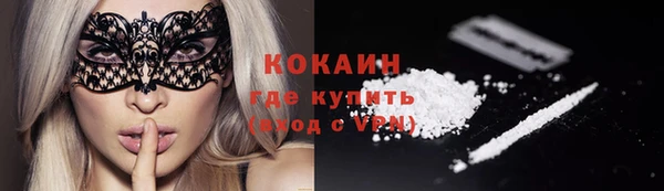 стаф Аркадак