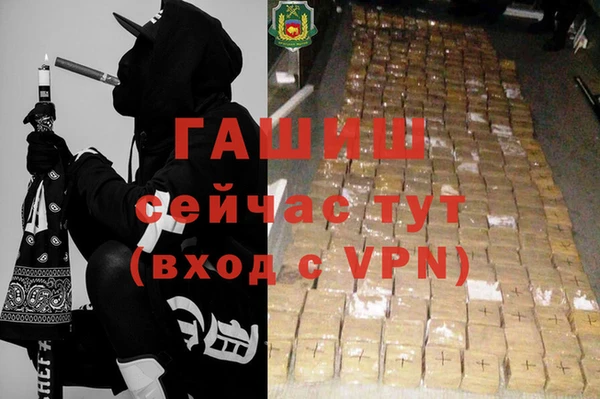 стаф Аркадак
