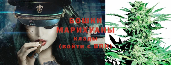 стаф Аркадак