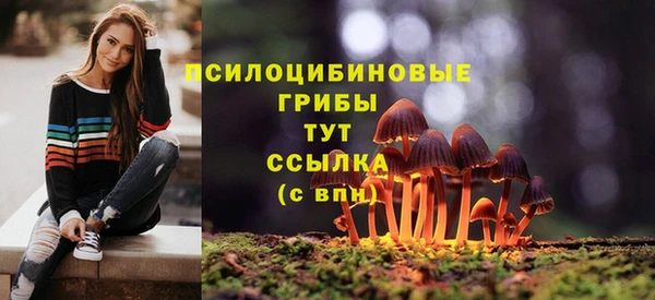 тгк Армянск