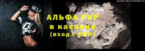 стаф Аркадак