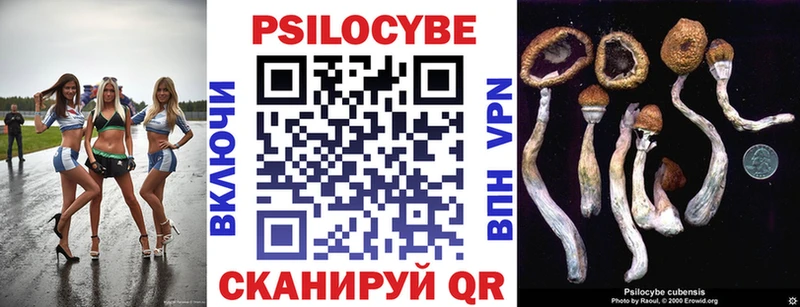 blacksprut ТОР  купить закладку  Орлов  Псилоцибиновые грибы GOLDEN TEACHER 