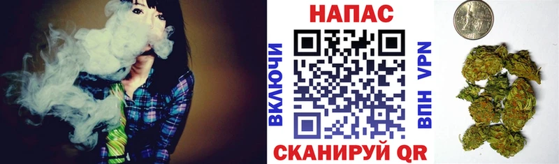 hydra ССЫЛКА  Орлов  Шишки марихуана сатива 